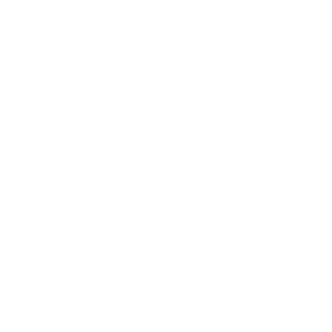 Search Icon